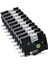 Brother P-Touch TZ-231 TZE-231 PT-D210 Uyumlu 10 Adet Etiket Yazıcı Şeridi (Yurt Dışından) 1