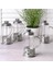Bitki Çayı ve Kahve Demleme French Press 2 Adet 350 ml 4