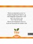 Soğan Maserasyon Yağı Allium Cepa 1 kg 2
