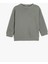 5WKB10071TK 039 Grı Erkek Cocuk Jersey Sweatshırt 1