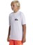 Quıksılver Everyday Surf Tee Ss Youth Erkek Çocuk T-Shirt AQBWR03067-QK.10 2