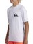 Quıksılver Everyday Surf Tee Ss Youth Erkek Çocuk T-Shirt AQBWR03067-QK.10 3