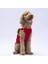 Kırmızı Yukon Büyük Irk Köpek Yeleği Köpek Kıyafeti Köpek Yağmurluk 2