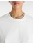 Skate Blurb Ss Relaxed Crop Tee VN000JQUFS81 Kadın T-Shirt 4