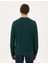 Erkek Zümrüt Regular Fit Sweatshirt 50296485-VR055 4
