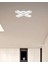 Timon (Beyaz Kasa, Beyaz Işık) Ledli Modern Plafonyer LED Avize Salon Mutfak Oturma Odası Antre Hol Çocuk Odası LED 2