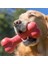Kırmızı Kauçuk Köpek Kemik Oyuncağı S 13,5cm 2
