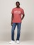 Tommy Hilfiger Tjm Reg Arc Varsıty Washed Tee 2