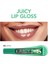 Juicy Lip Gloss Meyve Aromalı Besleyici Dudak Parlatıcısı (003 Apple) 8682536087735 6