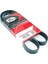GATES 6PK1735-V KAYISI KANALLI 6PK1735 1.4 TSI TİGUAN 07 6Q0260849C 1