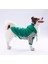 Turkuaz Lucky Club Polarlı Küçük Irk Köpek Sweatshirtü 1