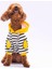 Sarı Lucky Club Polarlı Küçük Irk Köpek Sweatshirtü 3