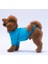 Turkuaz Carmel Polarlı Küçük Irk Köpek Sweatshirtü 2