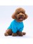 Turkuaz Carmel Polarlı Küçük Irk Köpek Sweatshirtü 4