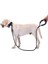Reflektörlü Köpek Tasması 130 cm 2