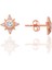 Gümüş Rose Zirkon Taşlı Kuzey Işığı Kadın Küpe SGTL12658ROSE 1