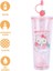 Sanrio Lisanslı Çift Cidarlı Pipetli Plastik Şişe (800ML) - Hello Kitty 4