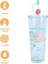 Sanrio Lisanslı Çift Cidarlı Pipetli Plastik Şişe (800ML) - Little Twin Stars 4