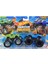 Hot Wheels Monster Trucks 2024 Posion Pinto ve Rodger Dodger HWN70 1