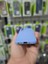 Samsung Galaxy A54 Kılıf Kamera Çıkıntılı Içi Kadife Yumuşak Dokulu Lansman Silikon Kapak 4