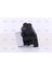 03P115389A Yağ radyatörü Komple Vag Ibıza4 Fab2 Po5 10- NIS-91154 1