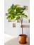 Ficus Umbellata Yapay Ağaç Gerçek Dokulu Yeşil 150 Cm 1