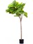 Ficus Umbellata Yapay Ağaç Gerçek Dokulu Yeşil 150 Cm 2