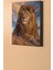 Sayılarla Boyama Seti Kasnaklı Aslan Kral 40 x 50 cm 2