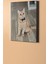 Sayılarla Boyama Seti Çerçeveli Kasnaklı Süslü Kedi 60 x 75 cm 2