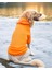 Orange Kapşonlu Sweatshirt, Orta ve Büyük Irklar Için 2