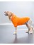 Orange Kapşonlu Sweatshirt, Orta ve Büyük Irklar Için 5
