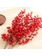 Yapay Çiçek Kokina Uzun Dal 63 cm Yılbaşı Çiçeği Red Berry 4