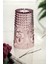 Akrilik Mürdüm Tekli Uzun Bardak & Su Meşrubat Bardağı 750 ml ( Büyük Boy & Cam Değildir ) 2