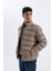 Regular Fit Dik Yaka Fermuarlı Cepli Mevsimlik Baharlık Şişme Mont 3