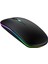 RGB-100F Rgb Işıklı, Efektli, Silent-Sessiz,rf Kablosuz, Bluetooth Mouse - Siyah 2
