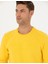 Erkek Sarı Regular Fit Sweatshirt 50270213-VR044 1