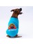 Turkuaz Carmel Polarlı Orta-Büyük Irk Köpek Sweatshirtü 1