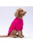 Pembe Carmel Polarlı Orta-Büyük Irk Köpek Sweatshirtü 5