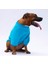 Turkuaz Carmel Polarlı Orta-Büyük Irk Köpek Sweatshirtü 2