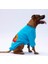 Turkuaz Carmel Polarlı Orta-Büyük Irk Köpek Sweatshirtü 3
