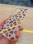 Samsung Galaxy A25 Leopar Desen Hologramlı Kılıf Darbe Korumalı Kapak 3