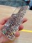 Samsung Galaxy A35 Leopar Desen Hologramlı Kılıf Darbe Korumalı Kapak 3