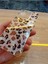 Xiaomi Redmi Note 13 Pro 5g Leopar Desen Hologramlı Kılıf Darbe Korumalı Kapak 4