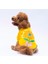 Sarı Lahti Polarlı Küçük Irk Köpek Sweatshirt 2
