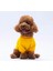Sarı Lahti Polarlı Küçük Irk Köpek Sweatshirt 3