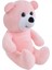 Peluş Ayı Oyuncak 20 cm Pembe 3