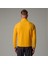 M Glacier 1/4 Zip - Embroidered Logo Erkek Sarı Sweatshirt NF0A83I356P1 2