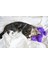 Purr Pillow Mırıldayan Kedi Sarılma Oyuncağı 3