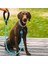 Reflektörlü Fosforlu Köpek Gezdirme Halatı Tasma Kayışı Metal Kancalı 130 cm (4738) 3