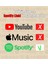 Özelleştirelebilir Akıllı Nfc Spotify Plak 4